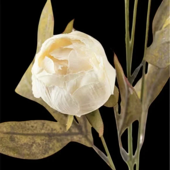 Cream Peony Stems by Ashland x 6 HTF